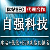 我需要营销*/文案策划-网站排名优化